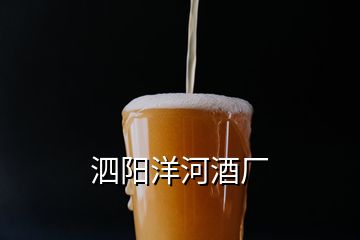 泗陽洋河酒廠