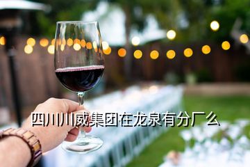 四川川威集團(tuán)在龍泉有分廠么