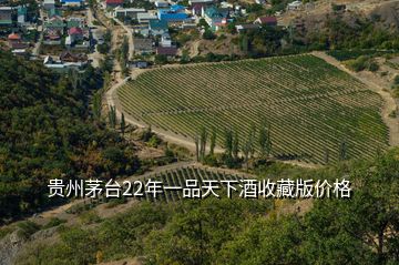 貴州茅臺22年一品天下酒收藏版價(jià)格