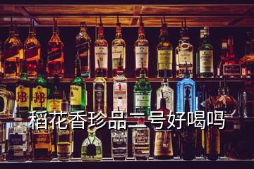 稻花香珍品二號(hào)好喝嗎