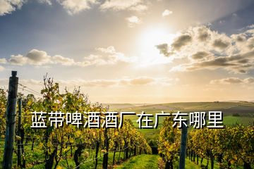 藍(lán)帶啤酒酒廠在廣東哪里