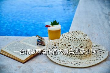 一臺精釀啤酒設(shè)備大概需要多少錢