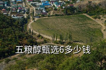 五糧醇甄選6多少錢