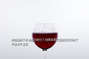 剛商品拍下來(lái) 錢都已經(jīng)付了 結(jié)果賣家店里說過年回家了不接單不發(fā)貨
