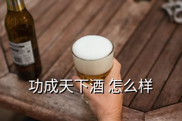 功成天下酒 怎么樣