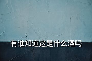 有誰知道這是什么酒嗎