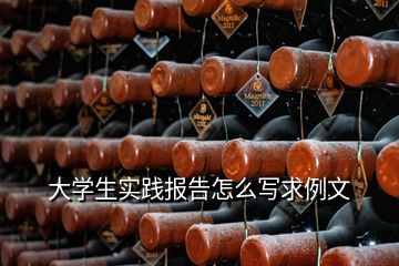 大學(xué)生實(shí)踐報(bào)告怎么寫求例文