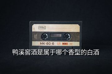 鴨溪窖酒是屬于哪個(gè)香型的白酒
