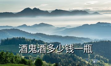 酒鬼酒多少錢一瓶