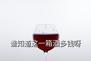 誰(shuí)知道這一箱酒多錢呀
