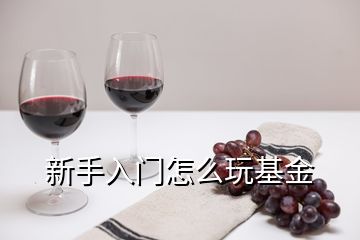 新手入門怎么玩基金