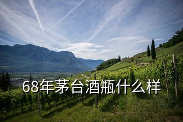 68年茅臺酒瓶什么樣