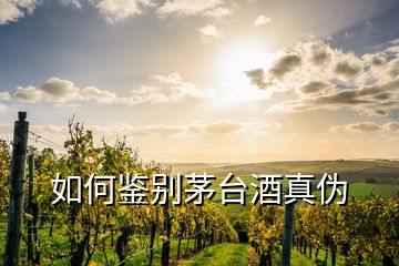 如何鑒別茅臺(tái)酒真?zhèn)?></p>
<h2 id=