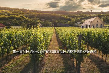 貴州盲品匠酒業(yè)公司產(chǎn)的53度盲品匠酒找不到價格好奇怪