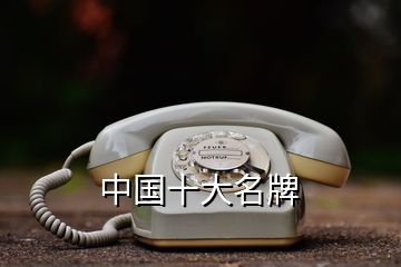 中國十大名牌