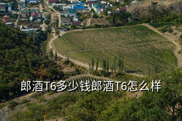郎酒T6多少錢(qián)郎酒T6怎么樣
