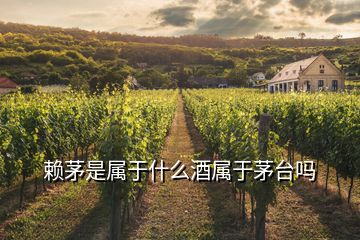 賴(lài)茅是屬于什么酒屬于茅臺(tái)嗎