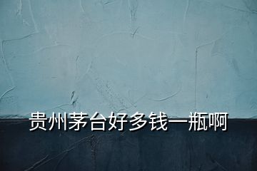 貴州茅臺好多錢一瓶啊