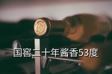 國(guó)窖二十年醬香53度