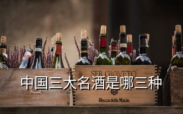 中國(guó)三大名酒是哪三種