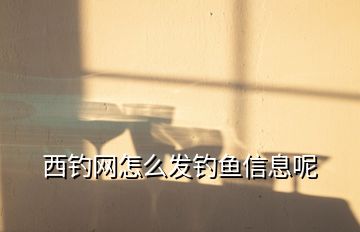西釣網(wǎng)怎么發(fā)釣魚信息呢