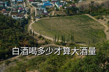 白酒喝多少才算大酒量