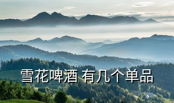 雪花啤酒 有幾個(gè)單品