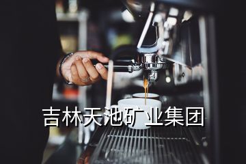 吉林天池礦業(yè)集團