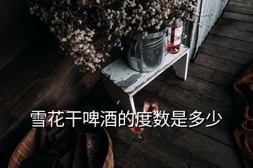 雪花干啤酒的度數是多少