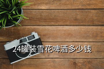 24罐裝雪花啤酒多少錢