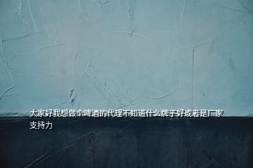 大家好我想做個(gè)啤酒的代理不知道什么牌子好或者是廠家支持力