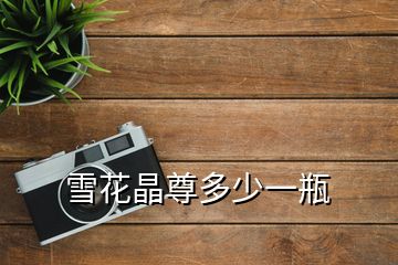 雪花晶尊多少一瓶