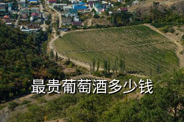 最貴葡萄酒多少錢(qián)