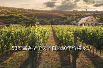 53度醬香型華天下白酒30年價(jià)格多少