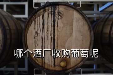 哪個酒廠收購葡萄呢
