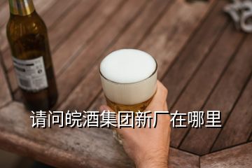 請問皖酒集團新廠在哪里