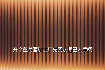 開個藍莓酒加工廠先要從哪里入手啊