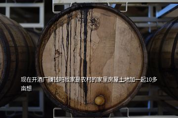現(xiàn)在開(kāi)酒廠賺錢(qián)嗎我家是農(nóng)村的家里房屋土地加一起10多畝想