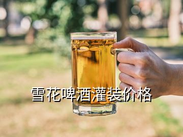 雪花啤酒灌裝價(jià)格