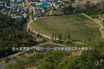 給大家透露一下精仿一比一進(jìn)貨渠道我買(mǎi)的大概多少