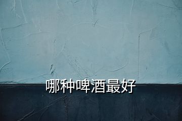 哪種啤酒最好