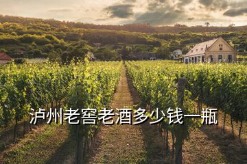 瀘州老窖老酒多少錢(qián)一瓶