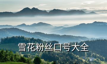 雪花粉絲口號(hào)大全