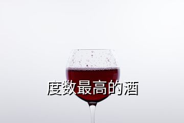 度數(shù)最高的酒