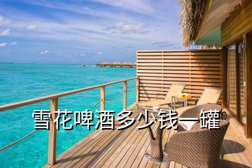 雪花啤酒多少錢(qián)一罐