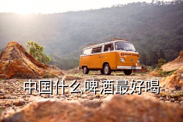 中國(guó)什么啤酒最好喝