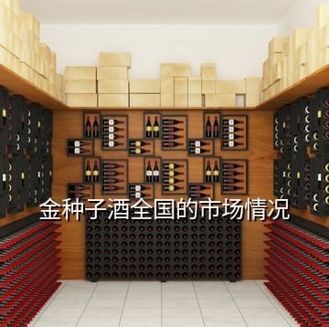 金種子酒全國(guó)的市場(chǎng)情況