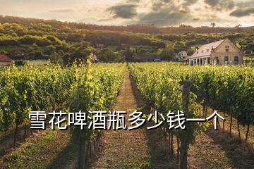 雪花啤酒瓶多少錢一個