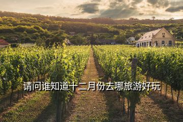請問誰知道十二月份去哪旅游好玩