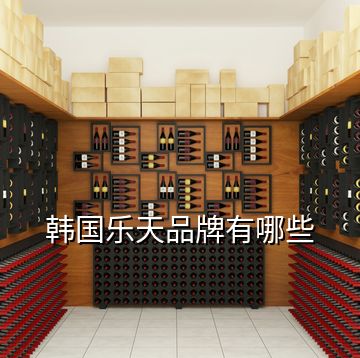 韓國(guó)樂(lè)天品牌有哪些